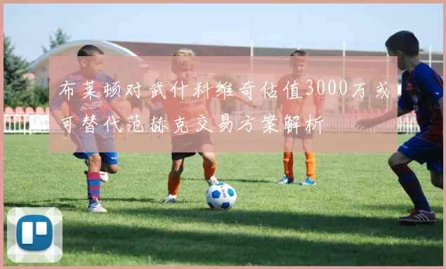 布莱顿对武什科维奇估值3000万或可替代范赫克交易方案解析